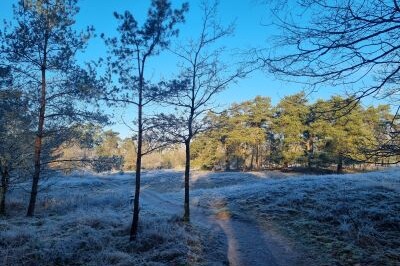 Fietsen & wandelen