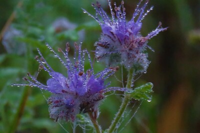 De Lodge::tot 4 personen