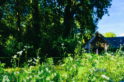 Lodge::bis zu 4 personen