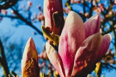 Hooiberg::10-16 personen